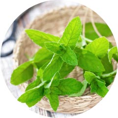 衣類用消臭加工剤 CO¯B