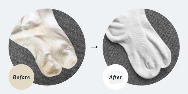 「その洗浄力にビックリ」と多くの方からメッセージが寄せられています。